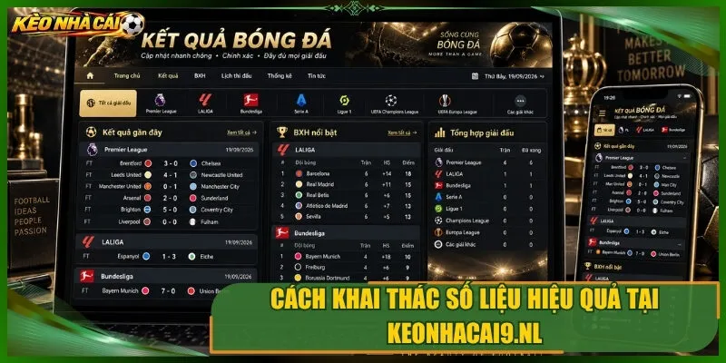 Cách khai thác số liệu hiệu quả tại ngocvutheme.com