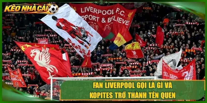 Fan Liverpool gọi là gì và Kopites trở thành tên quen 